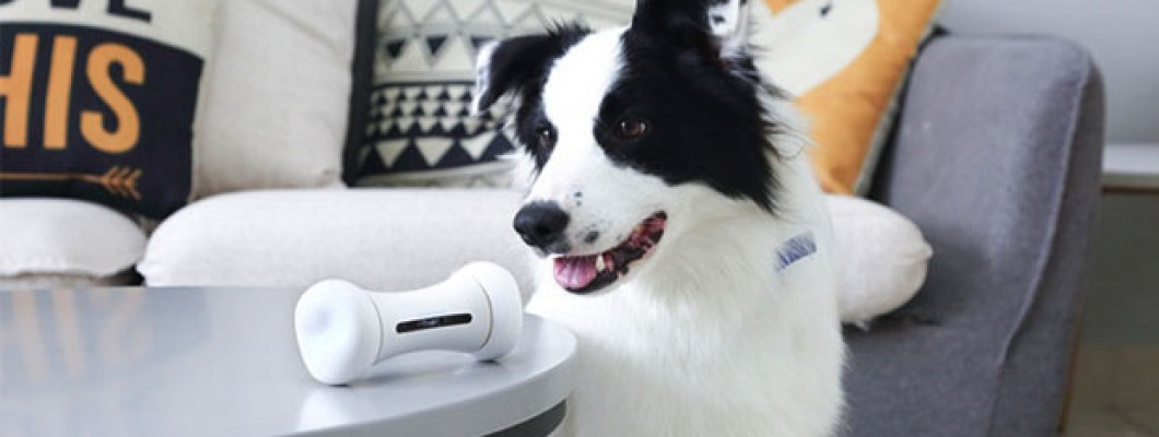 Умная интерактивная косточка-игрушка играет с вашей собакой