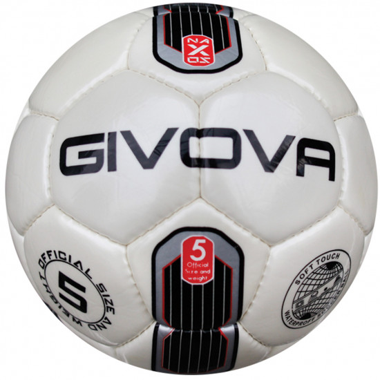 Футбольный мяч Givova