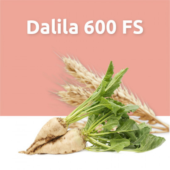 Dalila 600 FS (инсектицид протравитель)