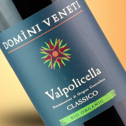 Domini Veneti Valpolicella Classico Bio 2019
